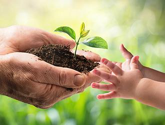 Biodegradable Non-Woven Products: A Sustainable Solution for the Future