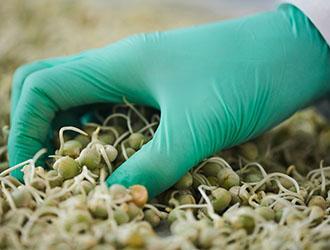 Discover the Benefits of East-West Group's Biodegradable Nitrile Gloves